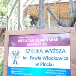 Orłany - kliknij, aby powiększyć