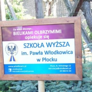 Orłany - kliknij, aby powiększyć