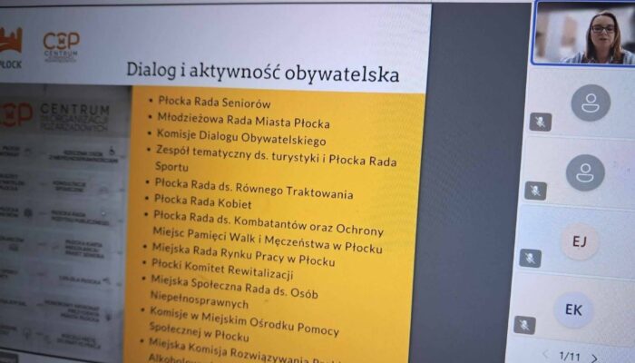 Spotkanie online