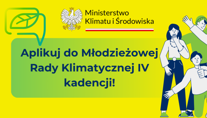 grafika informacyjna